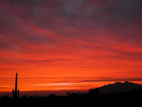 Sunset